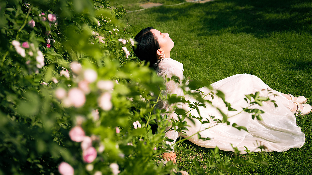夏日里的薰衣草庄园