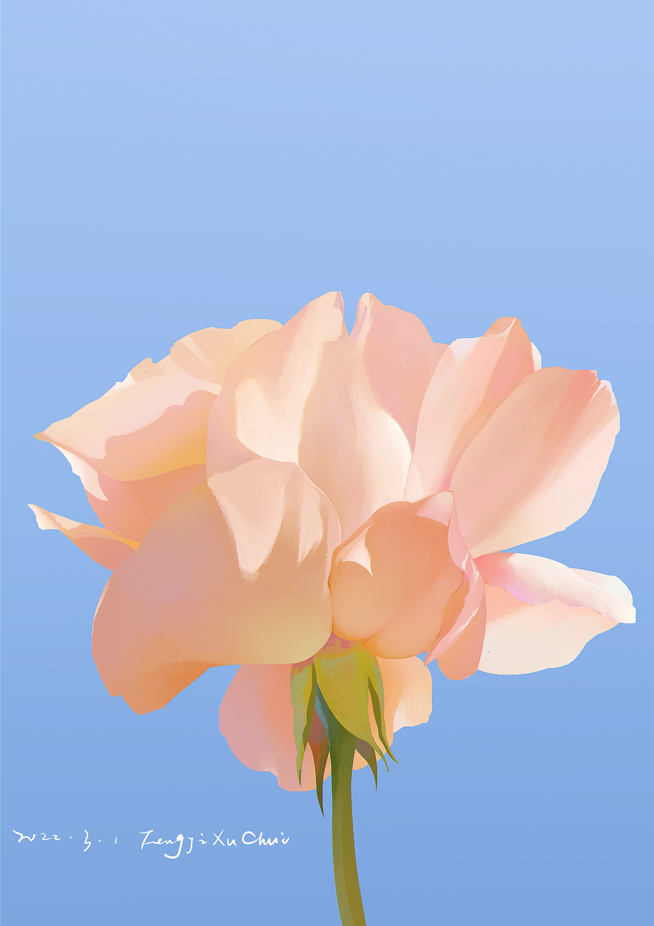 色彩练习 2022.1.1~2022.3.1