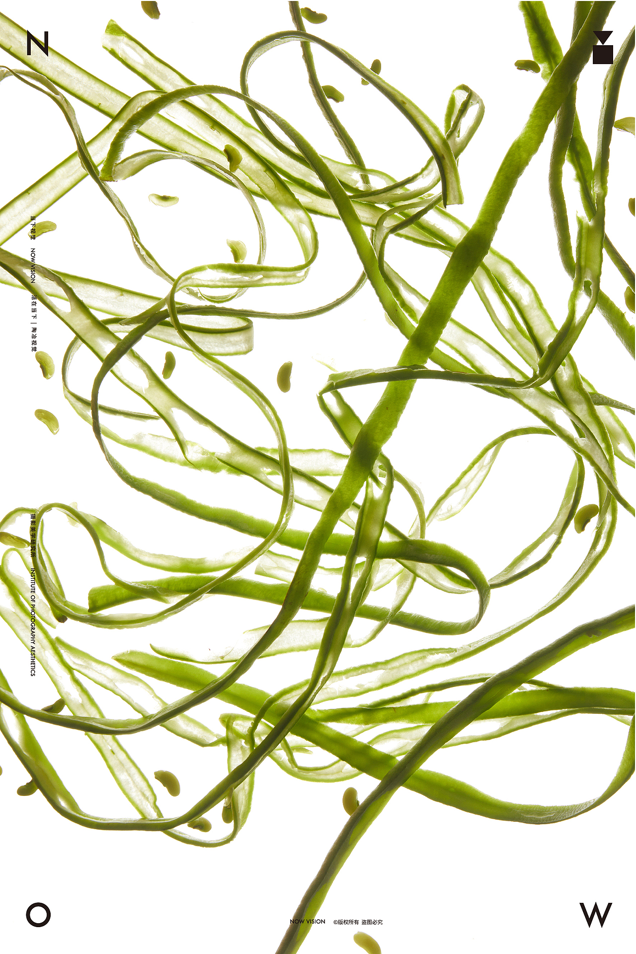 自然造物 解剖美学