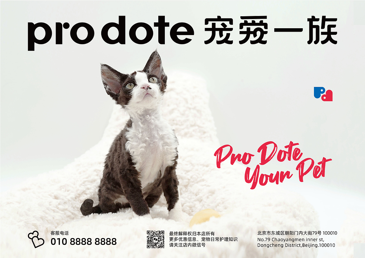 pro dote 宠物店品牌升级