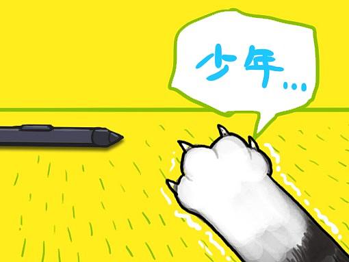 别让猫帮你捡东西，除非你不要了