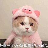 拾万的头像
