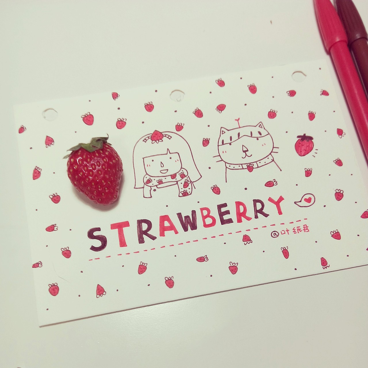 我无关紧要的日记本