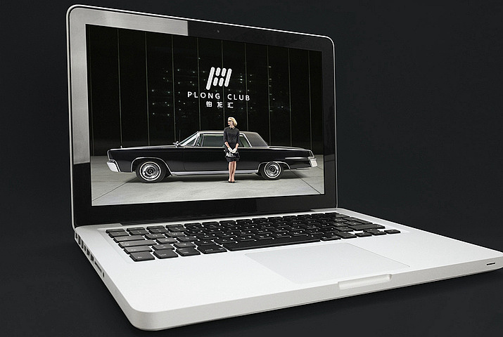 铂龙汇案例（峰尚品牌数字营销）