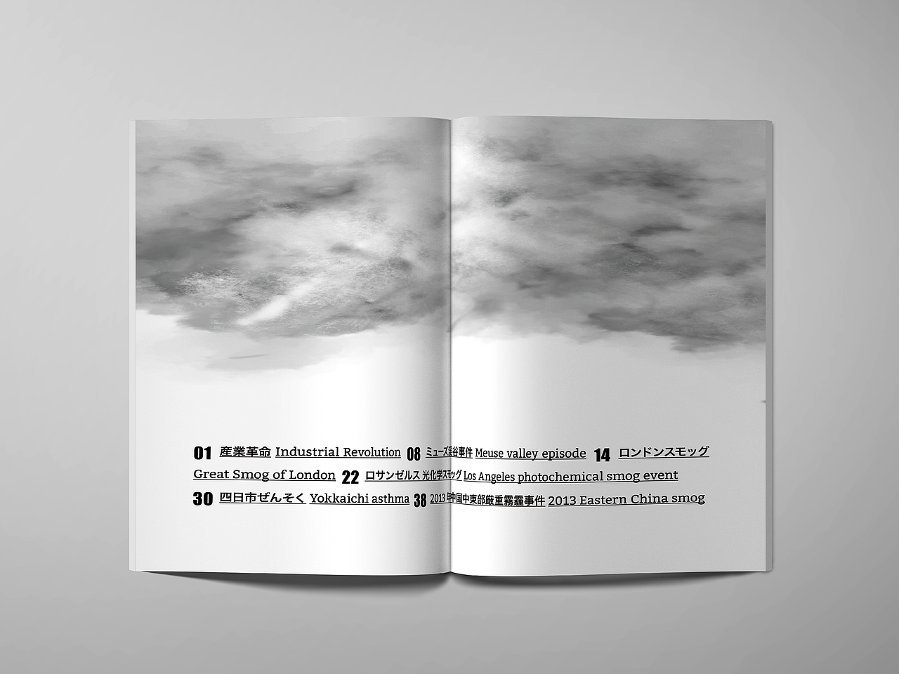 宣传手册 《SMOG》