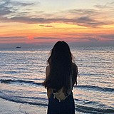 今晚不听海风的头像