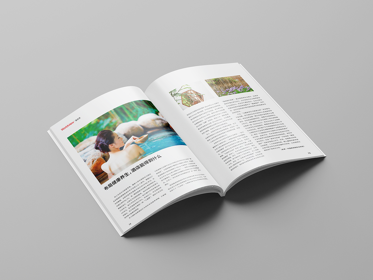 杂志（图ZMTkwOTUxNTY4） - 书籍/画册 - 站酷设计师浅水鱼儿原创素材 - 站酷ZCOOL