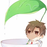 简羽的头像