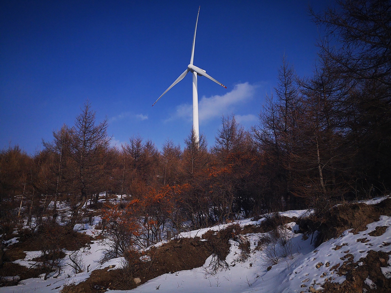 家乡拍摄。设备:华为P20