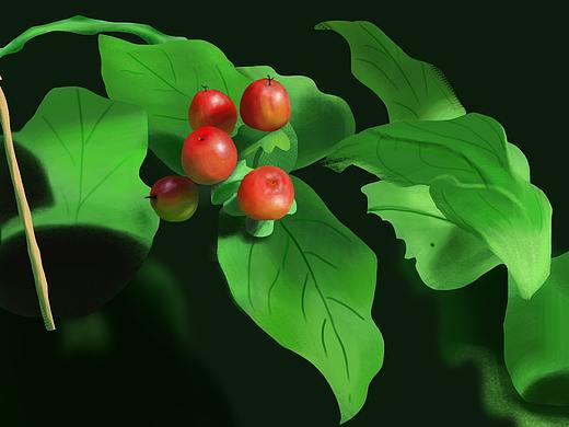 手绘练习