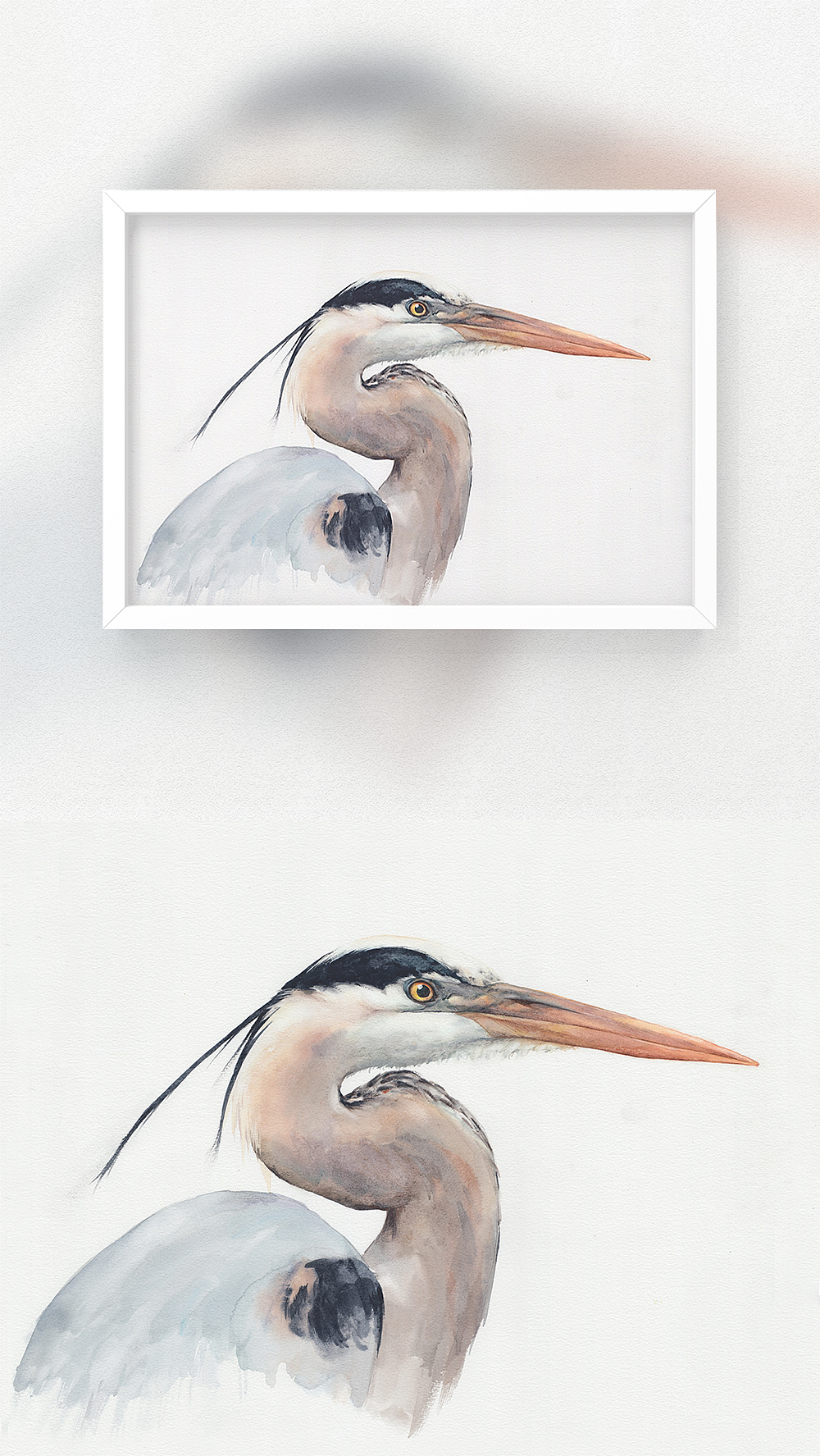 一二月的水彩,一只牛背鹭,一只苍鹭,一只池鹭,一窝白鹭,对单只鸟的