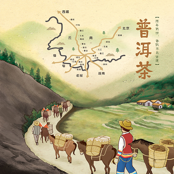 插画表现普洱陈年熟饼香飘茶马古道的茶历史文化.