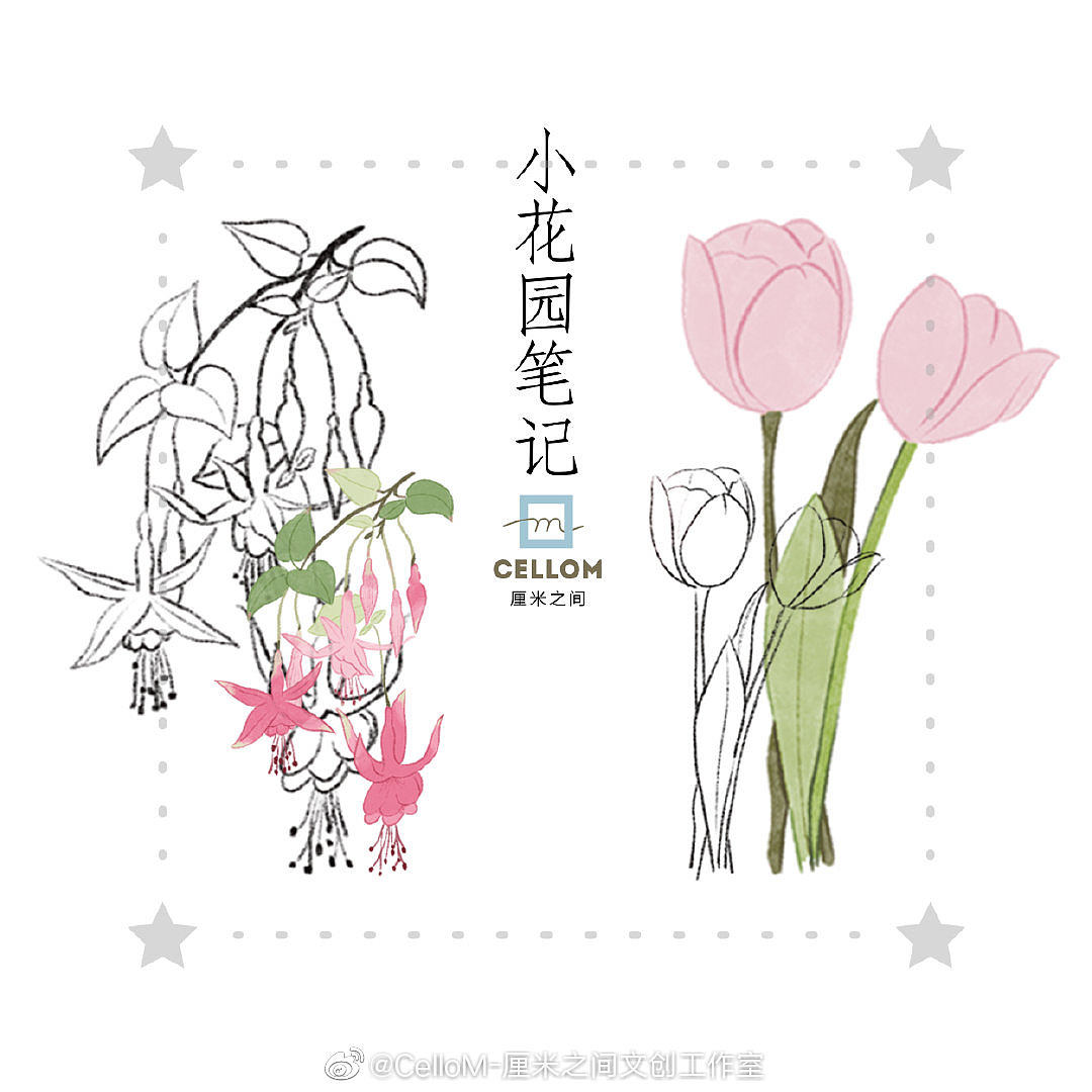 植物花卉纸胶带（图ZMjMzMjA1MzE2） - 商业插画 - 站酷设计师闫小婷原创素材 - 站酷ZCOOL