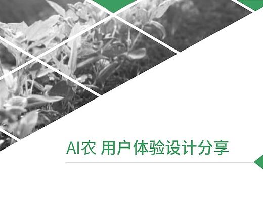 ai农用户体验设计分享