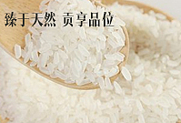 工作（图ZNDA3MzIwNjA=） - 电商 - 站酷设计师yoloayoloa原创素材 - 站酷ZCOOL