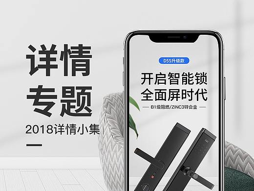 2018详情小集