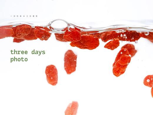 宁夏丰凯园枸杞|三日摄影