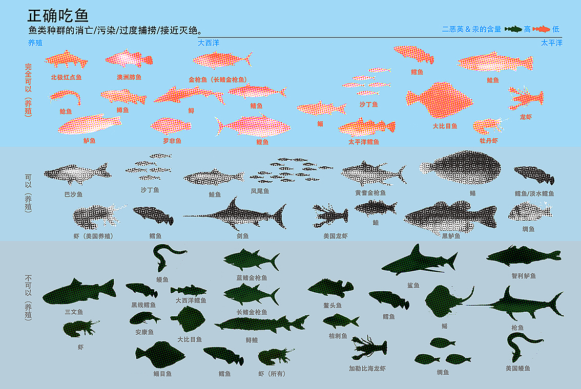 有生之年——信息可视化设计