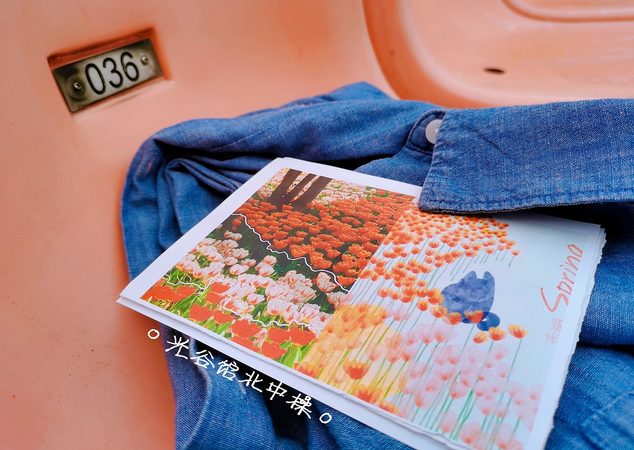 春日来信•东湖郁金香