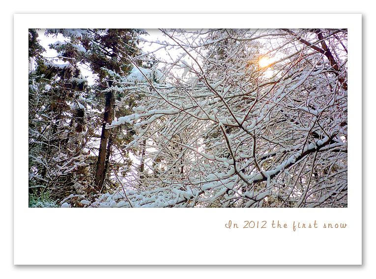 2012年的第一场雪（图ZNTE0Mjg2OA==） - 风光摄影 - 站酷设计师谷德刚原创素材 - 站酷ZCOOL