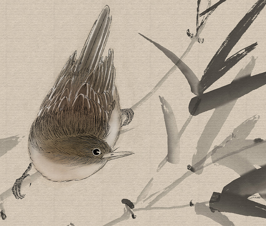 纯ps+其他软件绘制团扇（图ZODMwODc3MzY=） - 绘画 - 站酷设计师凌粤轩原创素材 - 站酷ZCOOL