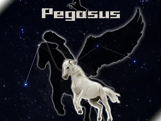 天马（个人主页-ZNjA5NTU5ODQ=） - 其他平面 - 站酷设计师阿灼Zzz原创素材 - 站酷ZCOOL