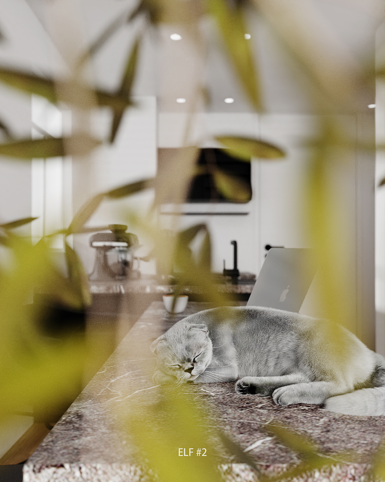 现代公寓室内设计及商业表现