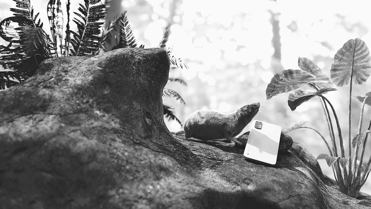 Maya Arnold Xgen（图ZMzA4MzU3Mjc2） - 人物/生物 - 站酷设计师Z221823365原创素材 - 站酷ZCOOL