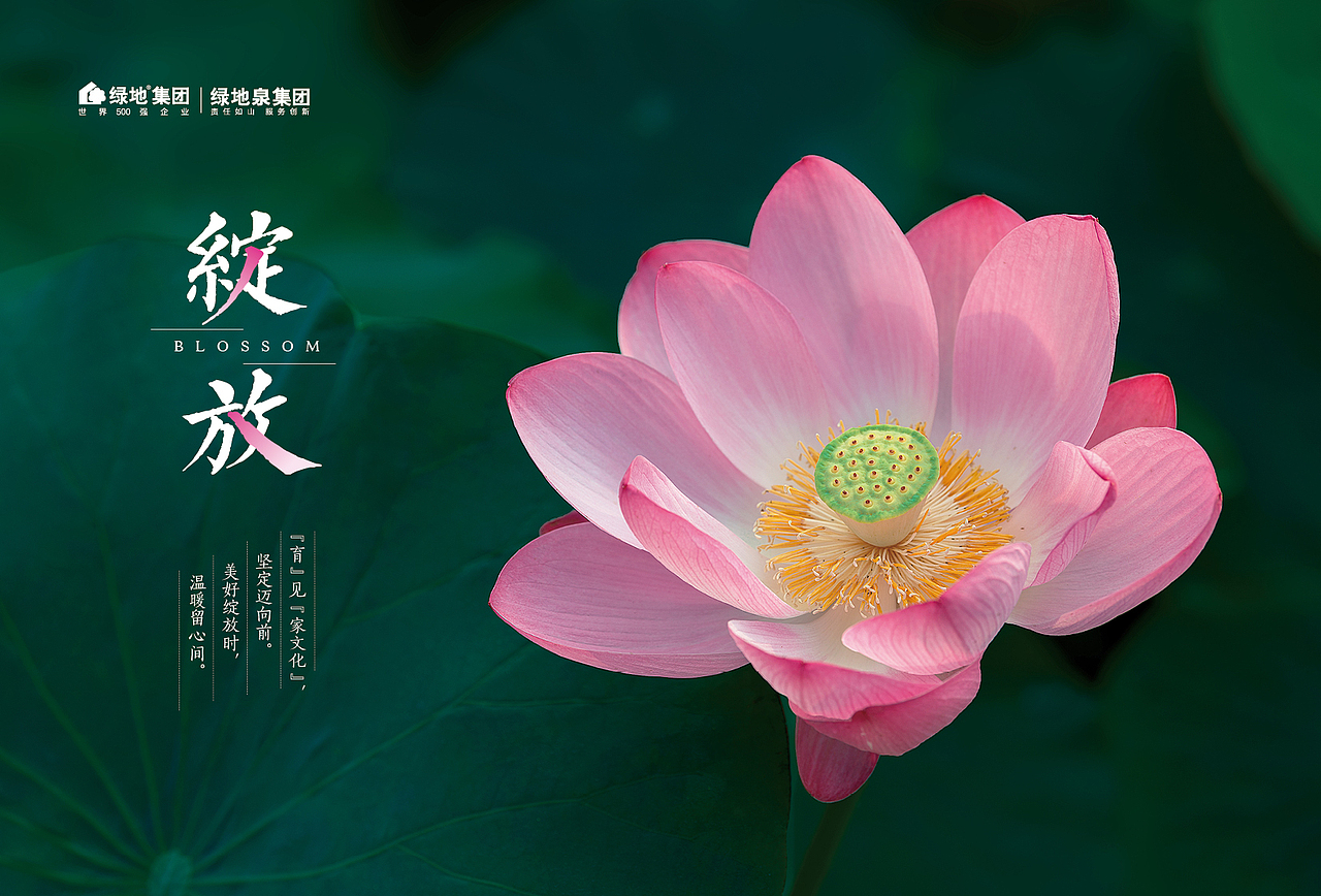 《五好家》第四期