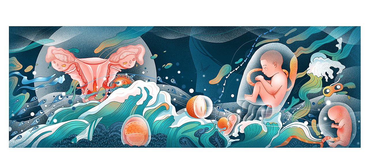 孕育·新生|插画|商业插画|插画师晴儿 - 原创作品 - 站酷 (zcool)