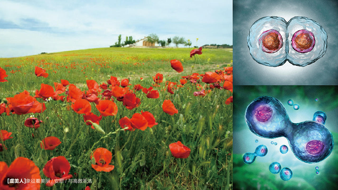 巧致集团20周年