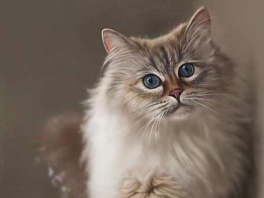 畫了一只貓貓（含步驟圖）（個人主頁-ZMjY0MTczNDQ=） - 創(chuàng)作習(xí)作 - 站酷設(shè)計師奔跑中的奶牛原創(chuàng)素材 - 站酷ZCOOL