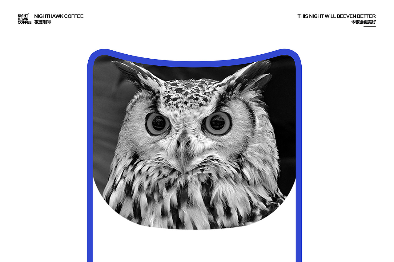 「NIGHTHAWK」 咖啡品牌标志及包装设计（图ZMjg1NDM3MTA0） - 品牌 - 站酷设计师祁山xlx原创素材 - 站酷ZCOOL