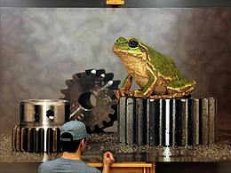 韓國(guó)超寫(xiě)實(shí)第一人:畫(huà)成這樣，這是要搶攝影師的飯碗