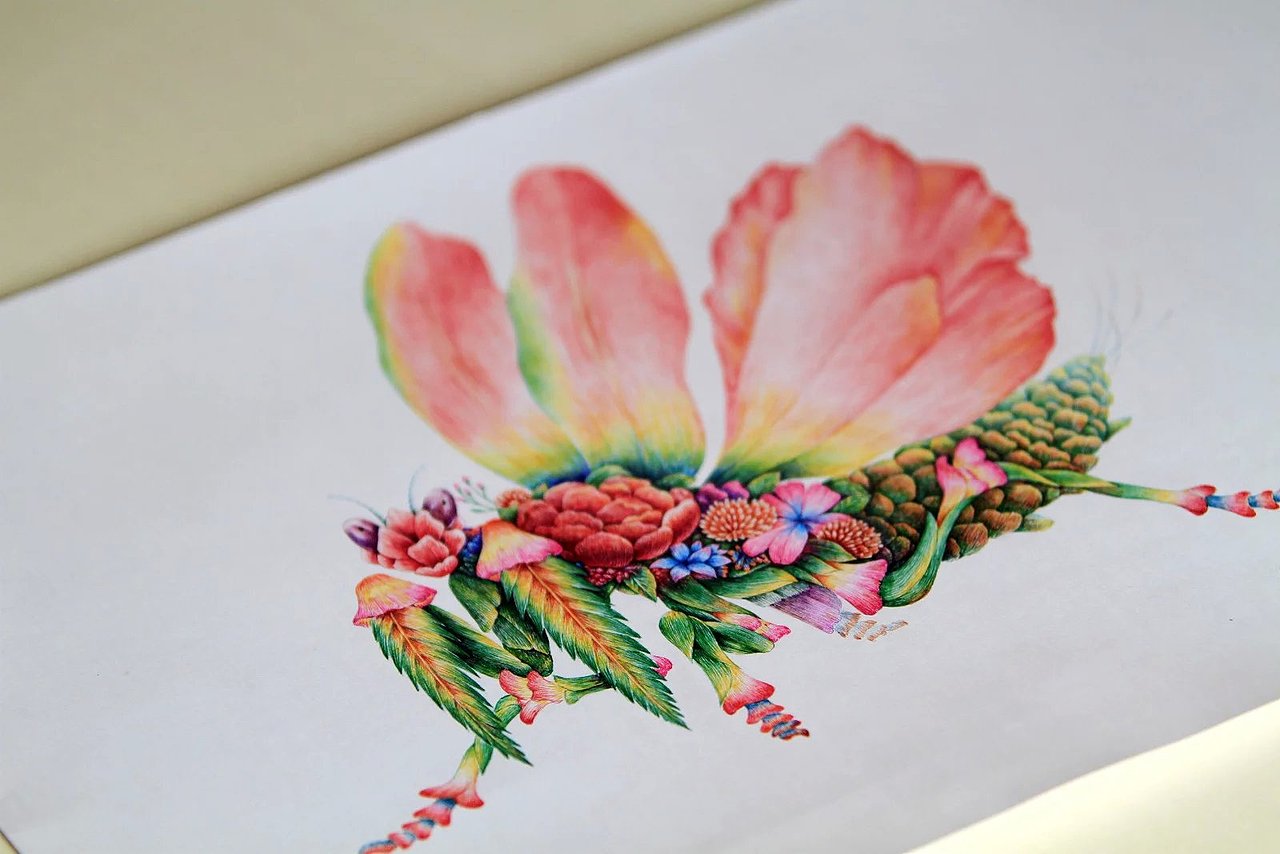 舒展《昆虫记—魔花螳螂》（图ZNDIyNzIzNjA=） - 商业插画 - 站酷设计师舒展原创素材 - 站酷ZCOOL