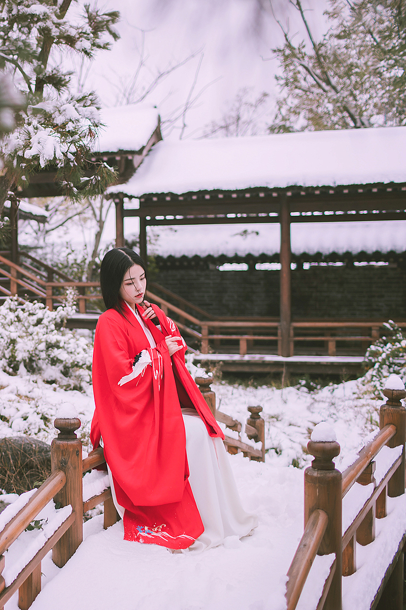 长安初雪，故人别后