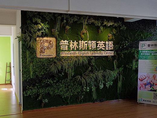 单副仿真植物墙合集（个人主页-ZMTQ0NDM2NzI=） - 景观设计 - 站酷设计师quaint离奇原创素材 - 站酷ZCOOL