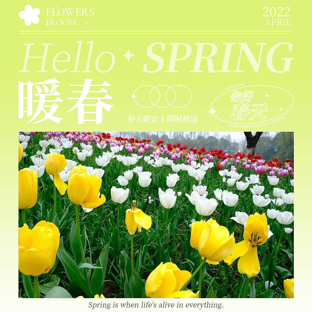四月伊始 春光大好（图ZMjk1ODE3Mjk2） - 海报 - 站酷设计师Z72059458原创素材 - 站酷ZCOOL
