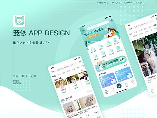 宠依APP设计/宠物医生