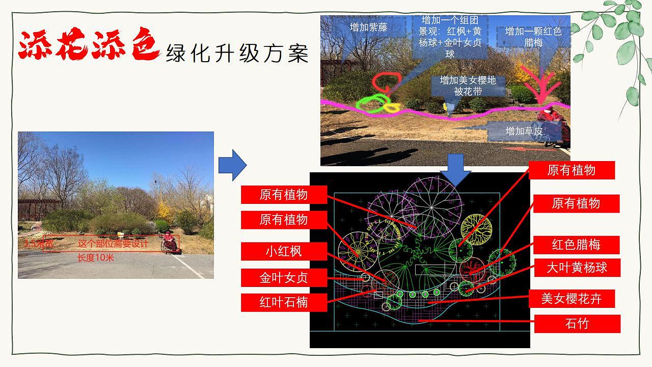 养老院绿化提升