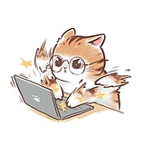 十七___的头像