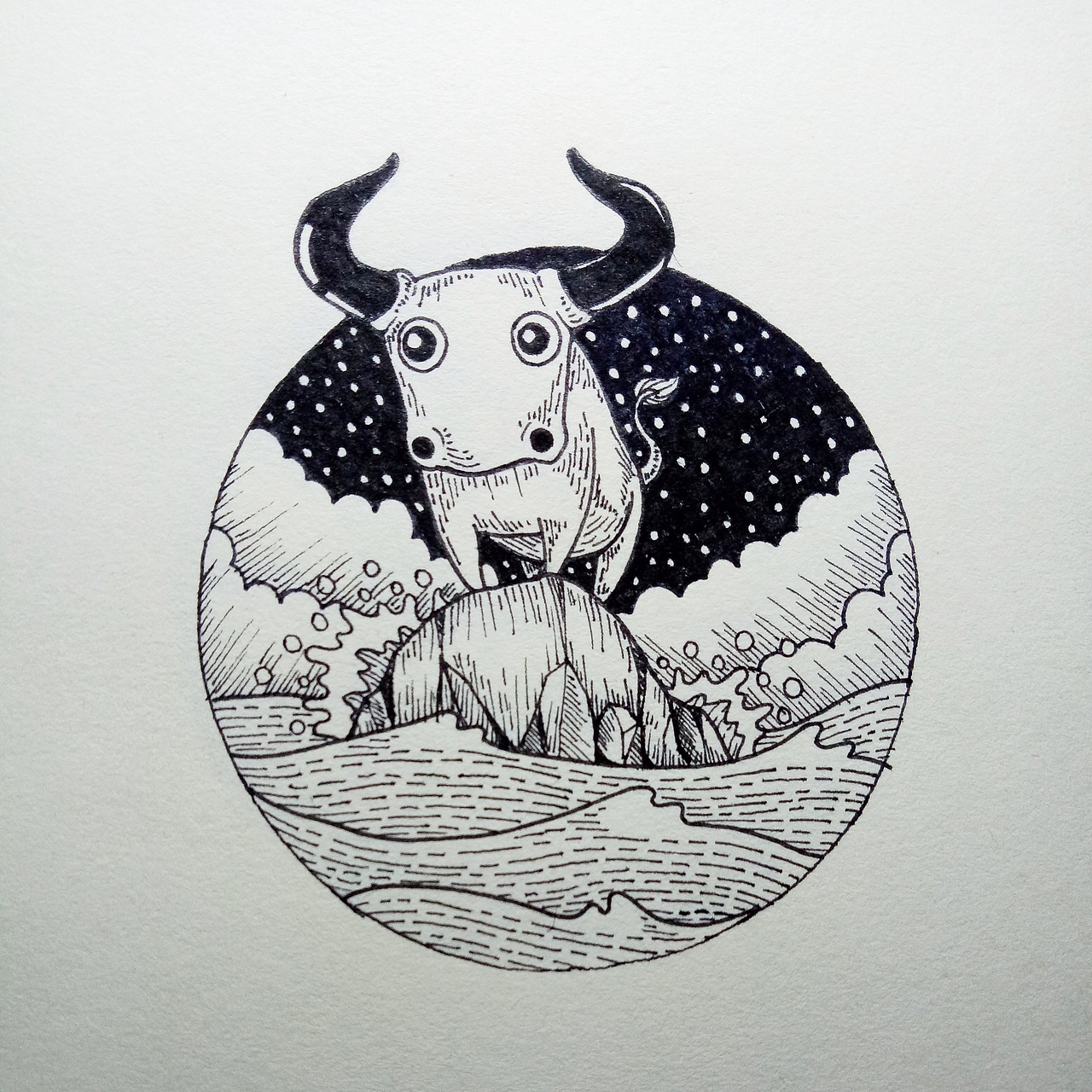 简画一夏……生命