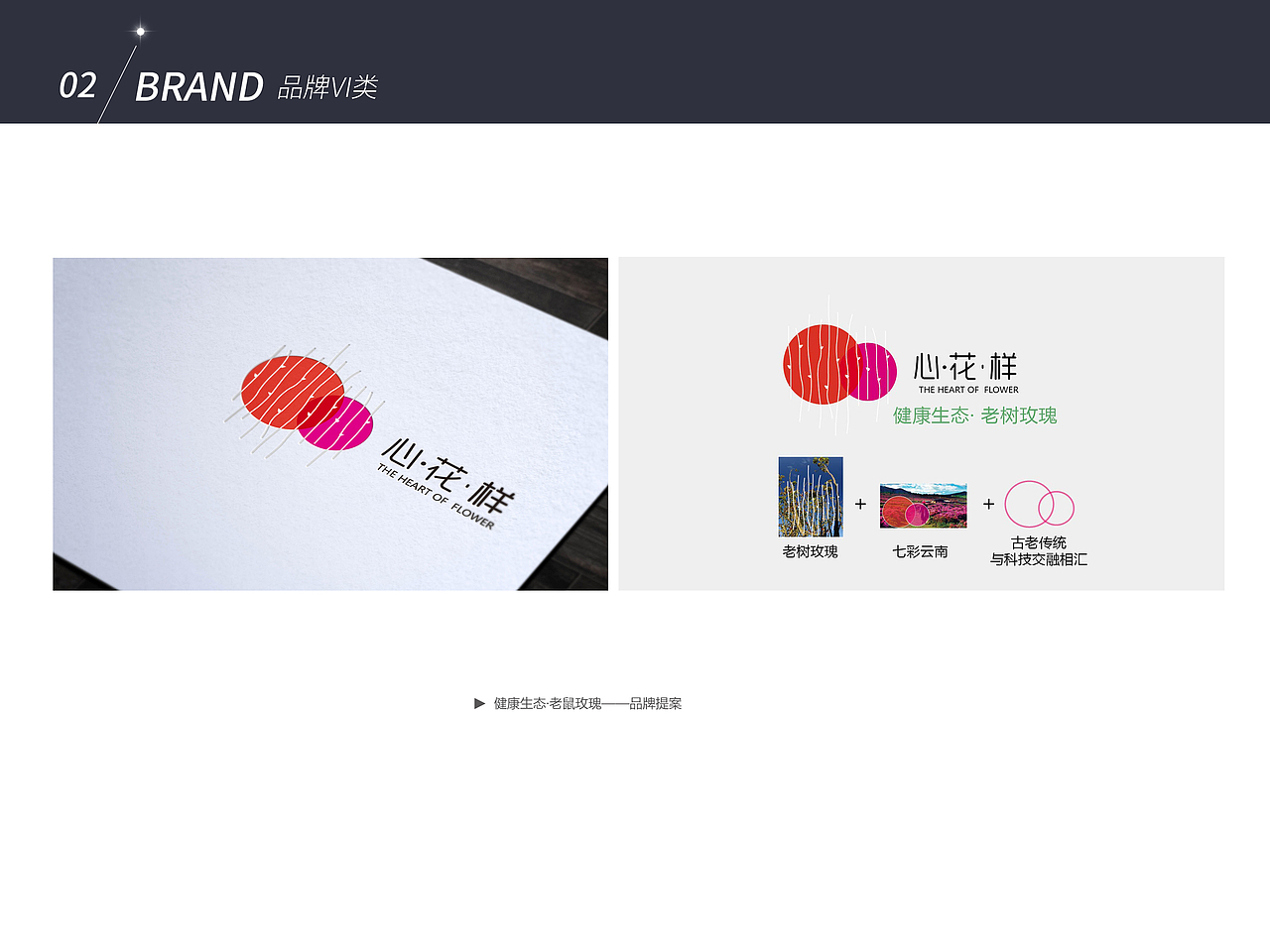 VI品牌类