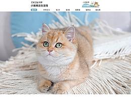 店铺日常首页