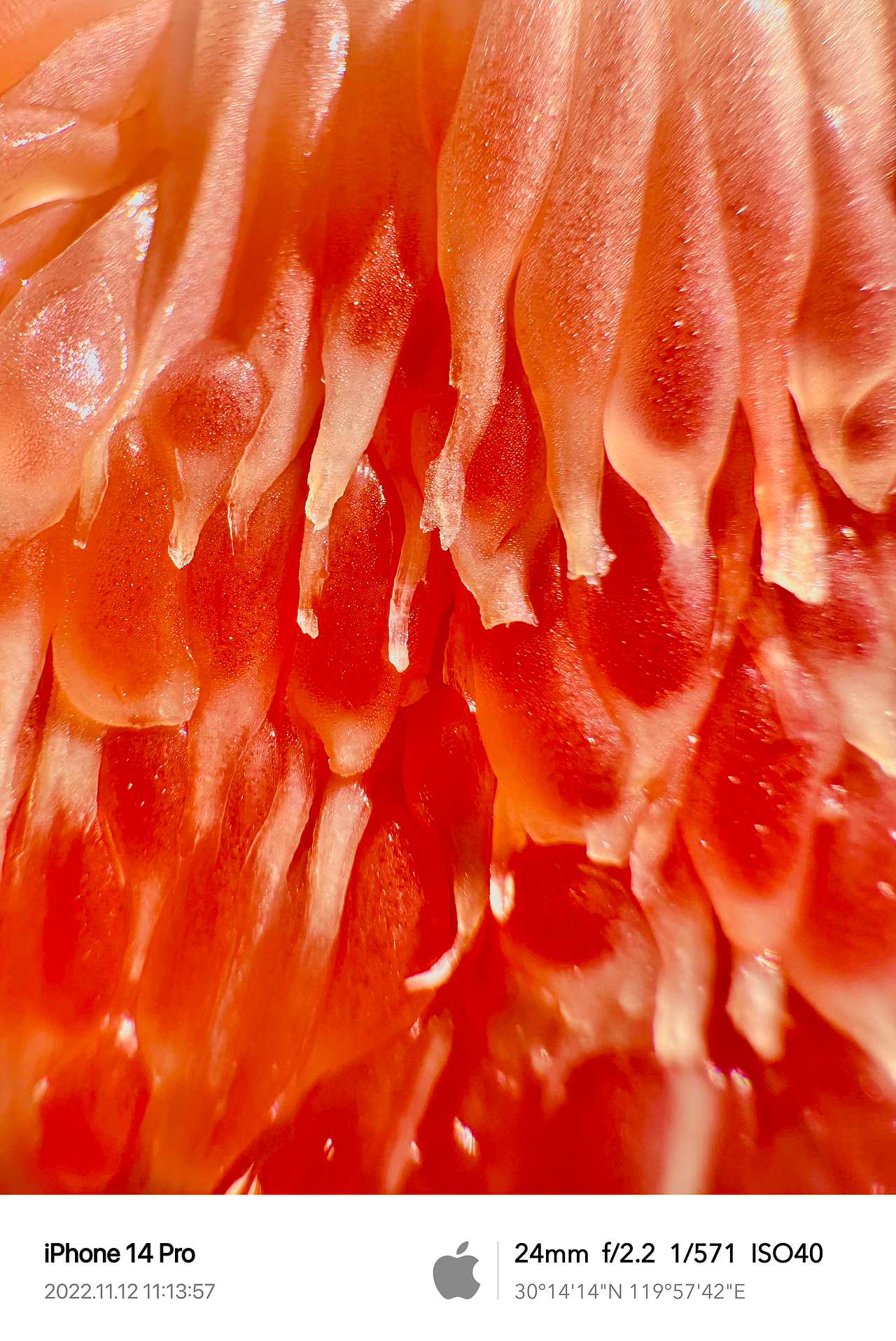 Clint手机摄影/生活观察2022Q4（图ZMzQ1ODI5MzYw） - 人文/纪实摄影 - 站酷设计师Clint克林原创素材 - 站酷ZCOOL