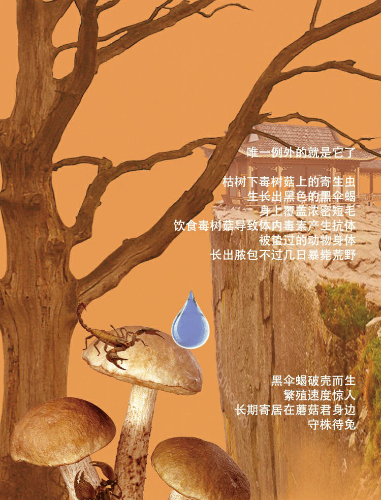 自媒体设计《末日之后》----沙（图ZMTYwNDM5Njcy） - 宣传物料 - 站酷设计师暹罗不是猫原创素材 - 站酷ZCOOL