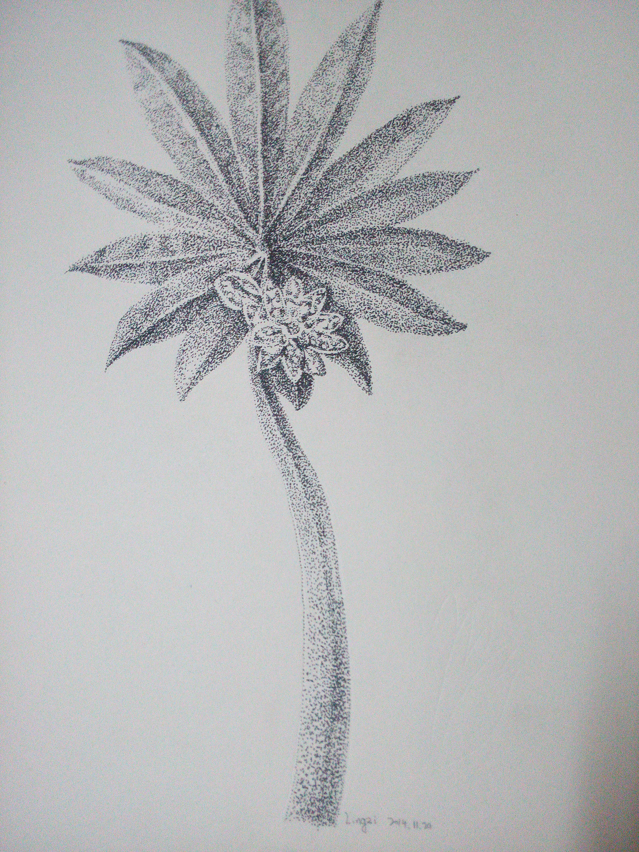 我点我点我点点点