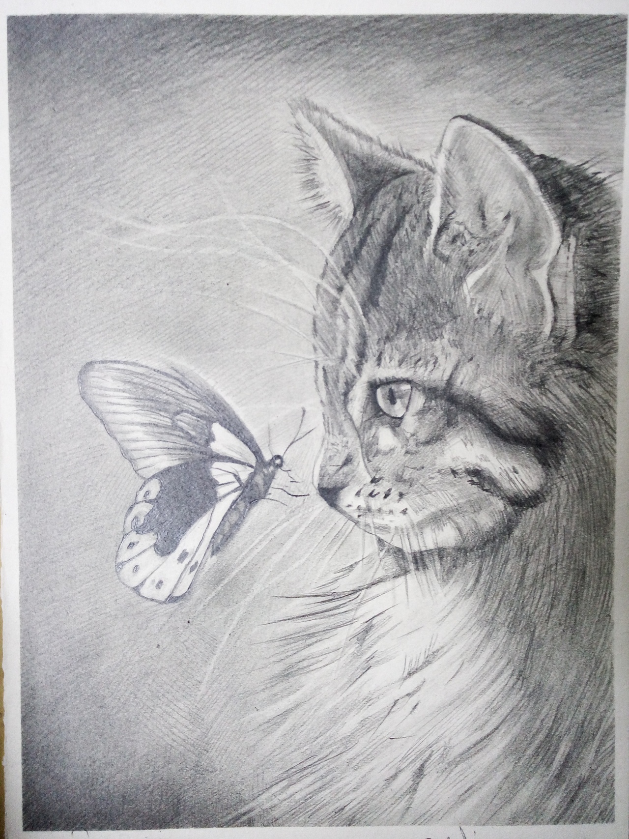 业余爱好—画画让我的心很安静（图ZNTUwODMyMTI=） - 绘画 - 站酷设计师匆匆那年哦原创素材 - 站酷ZCOOL