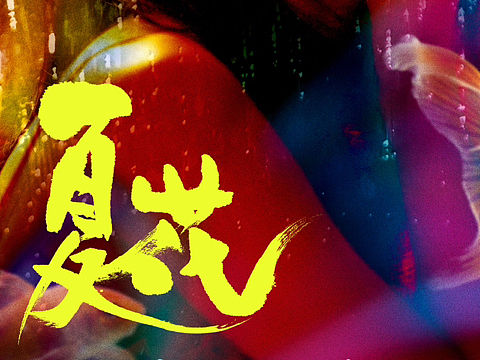 电视剧《夏花》海报