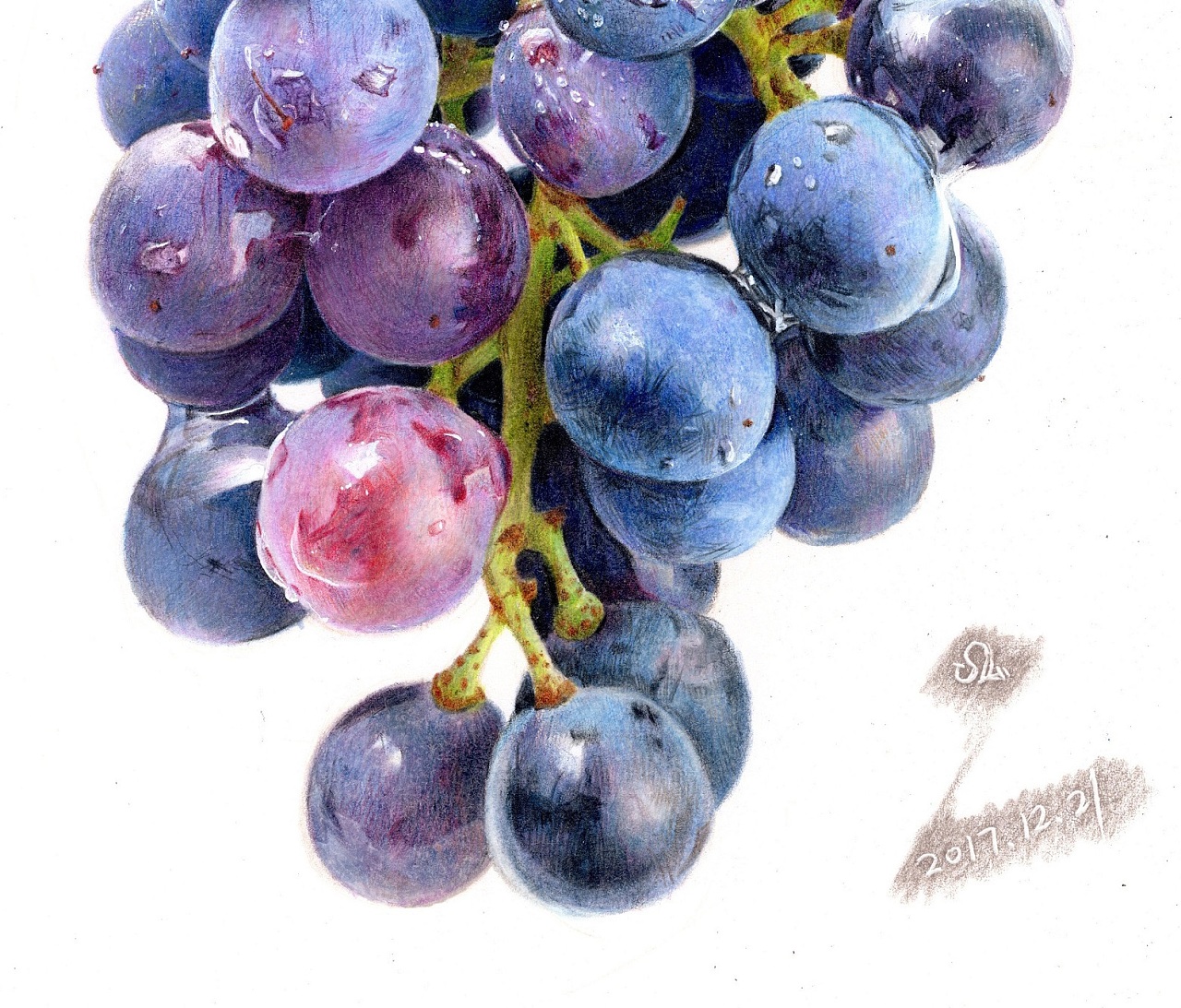 彩铅画葡萄